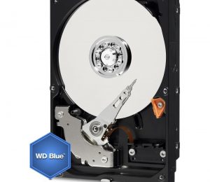 Western Digital 1Tb Blu - La meccanica